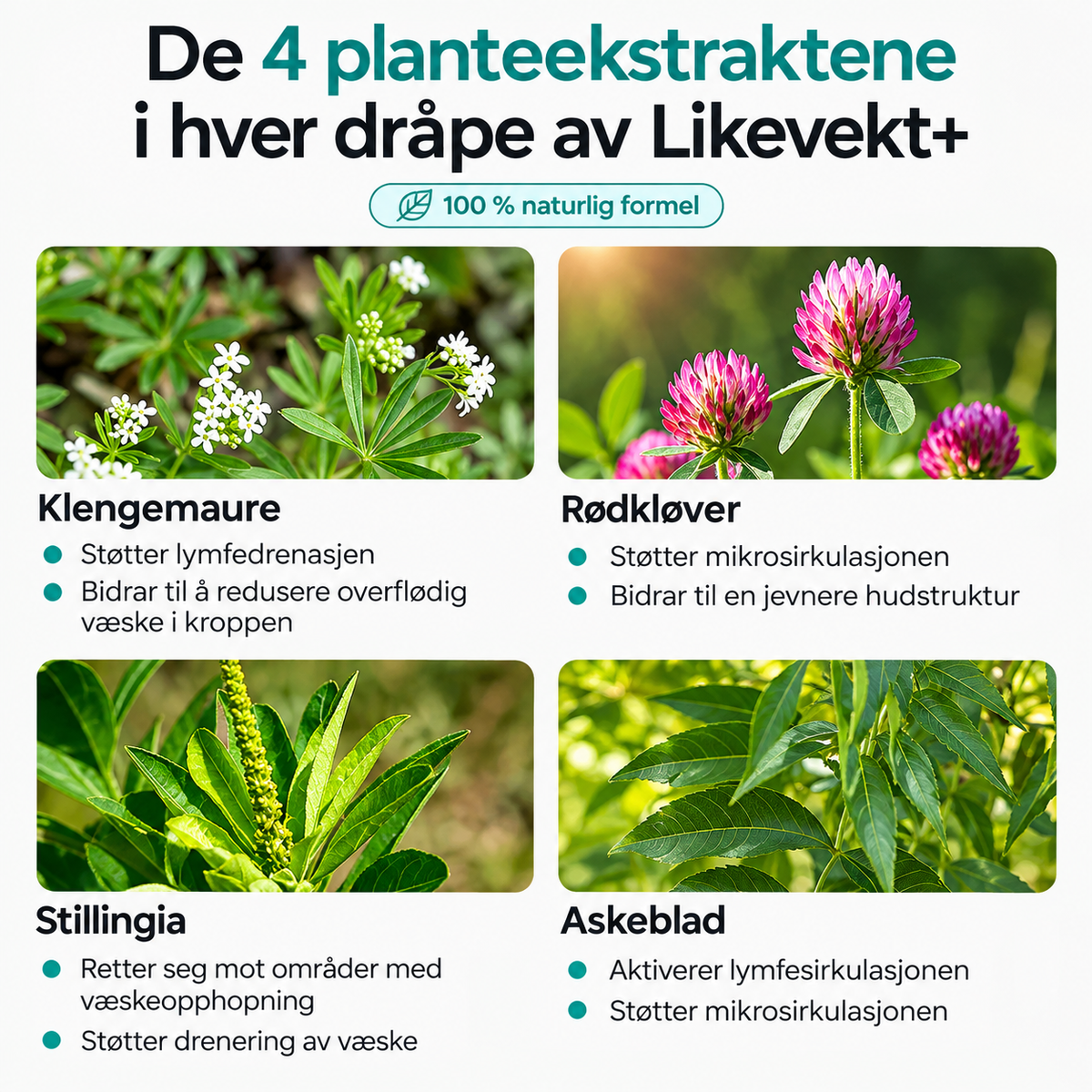 LYMFEDRENERENDE